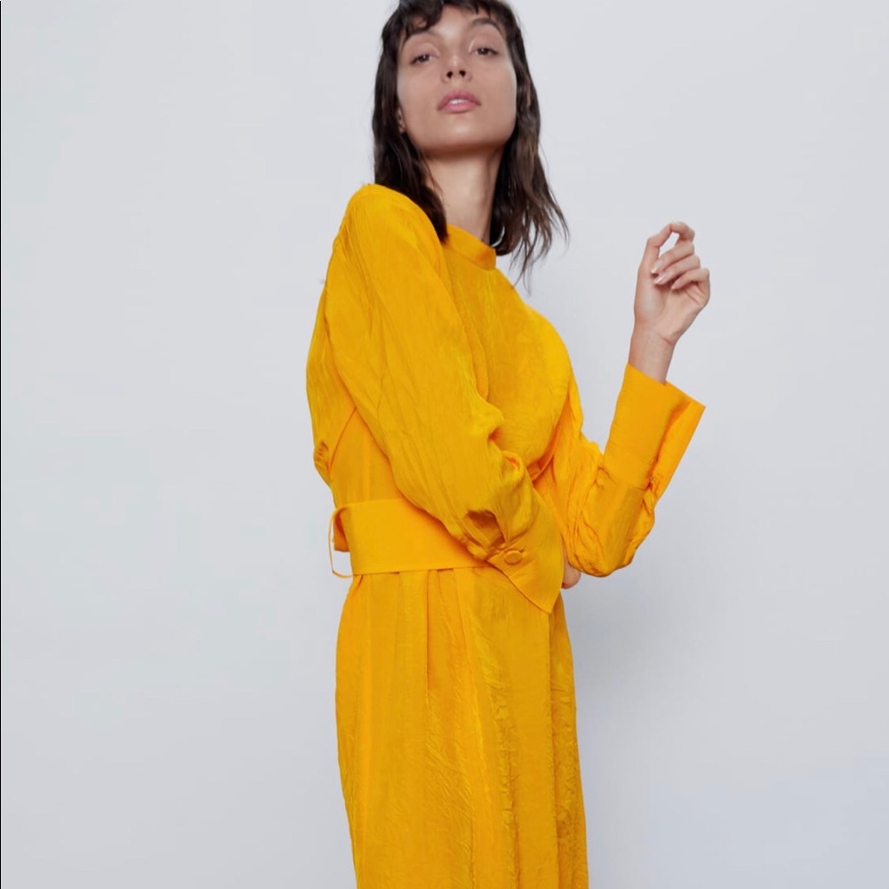 Zara Belted Midi Dress - Picture 6 of 7